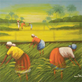 Report - Right to Food in Haiti