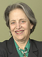Stein